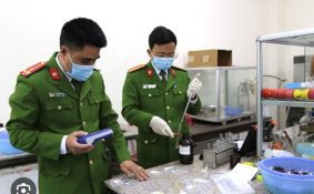 Kế hoạch triển khai thi hành Luật Giám định tư pháp