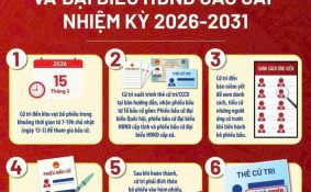 Cần Thơ ứng dụng công nghệ số hướng dẫn bầu cử