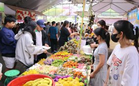 Cần Thơ khai mạc Lễ hội Bánh dân gian Nam Bộ lần thứ XIII năm 2026: Lan tỏa tinh hoa ẩm thực truyền thống Việt