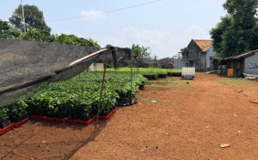 Đổi thay ở đồng bào Châu Mạ xã Năm anh hùng