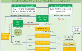 Quy định chi tiết thi hành một số điều của Luật Bảo vệ môi trường về trách nhiệm tái chế sản phẩm, bao bì và trách nhiệm xử lý chất thải của nhà sản xuất, nhập khẩu
