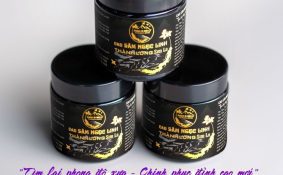 Hiệu quả đáng ghi nhận từ Sâm Ngọc Linh Sơn La