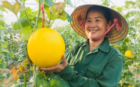 Nghệ An tích cực đưa nghị quyết vào cuộc sống