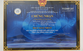 Trứng gà thảo dược – hướng đi mới cho chăn nuôi an toàn và bền vững