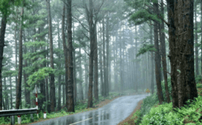 Hoài khúc Đà Lạt mưa
