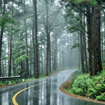 Hoài khúc Đà Lạt mưa