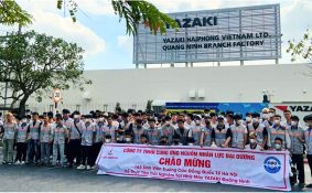 Học những nghề điện được cấp học bổng và có việc làm ngay