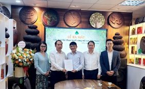 Chè Shan tuyết vùng núi cao tìm hướng nâng giá trị từ liên kết và chuẩn hóa