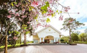 Tiếp nối dòng chảy tri thức trên cao nguyên Lâm Viên: Tìm lại lịch sử Viện Đại học Đà Lạt qua tài liệu lưu trữ